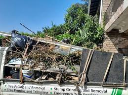 Best Hoarding Cleanup  in Brownsburg, IN